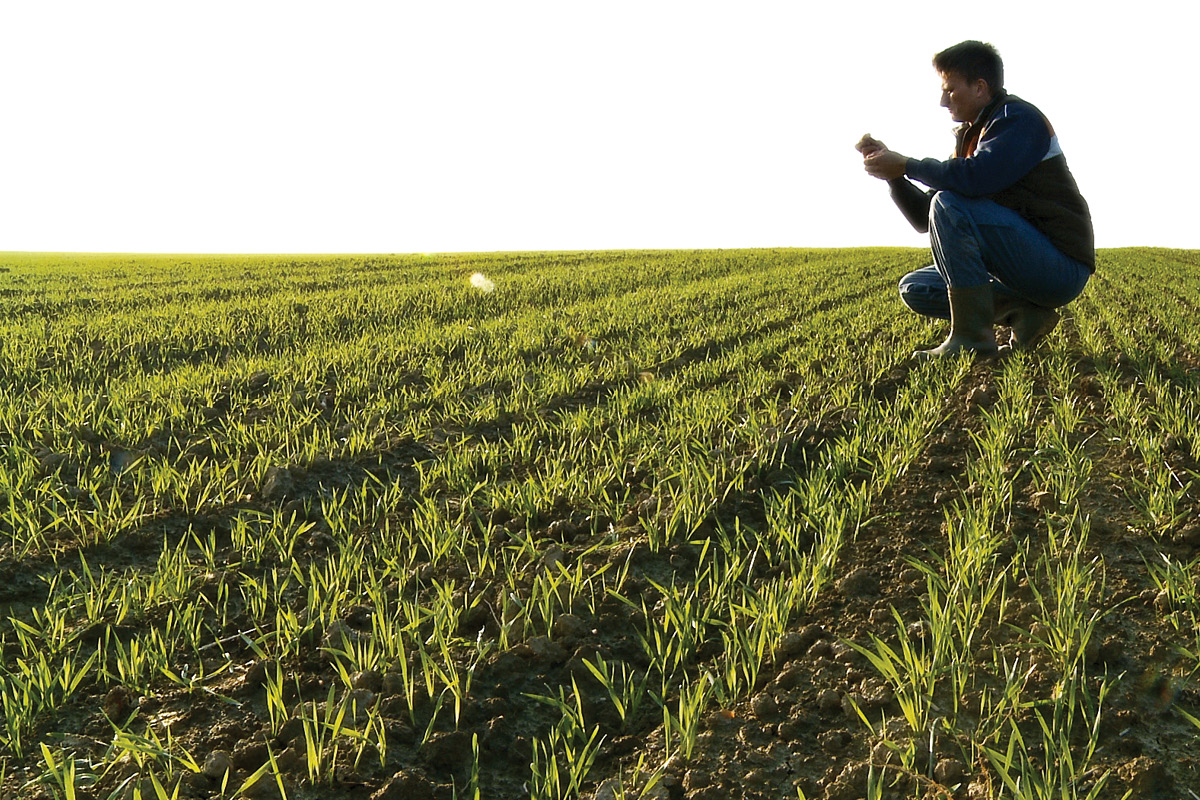 PHA launches free plant biosecurity surveillance training image