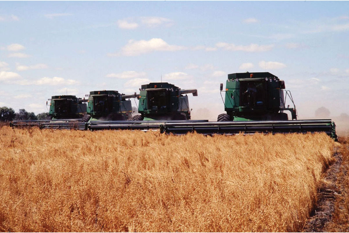 Boosting grains biosecurity preparedness image