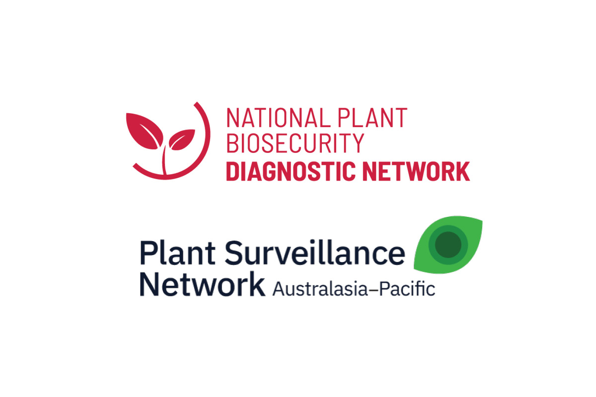 Joint Annual Diagnosticians’ and Surveillance Workshop 2022 image