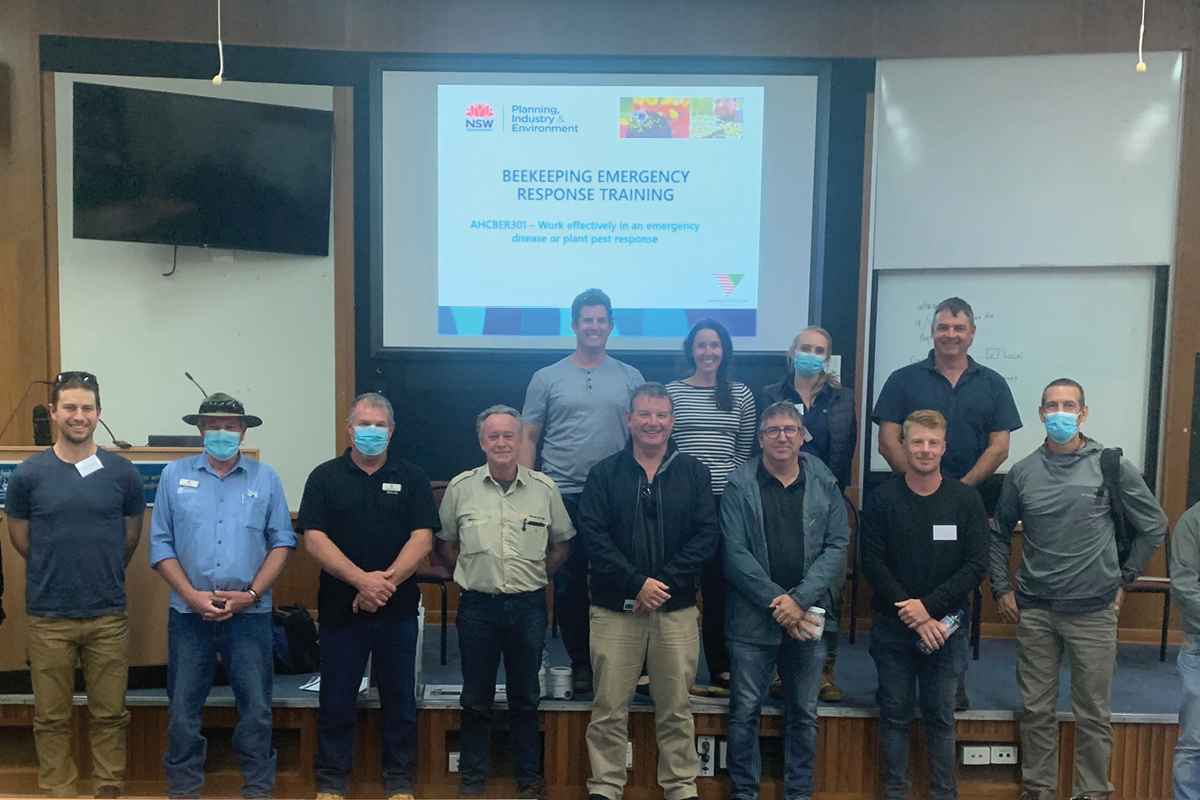 Bee biosecurity update from Western Australia image