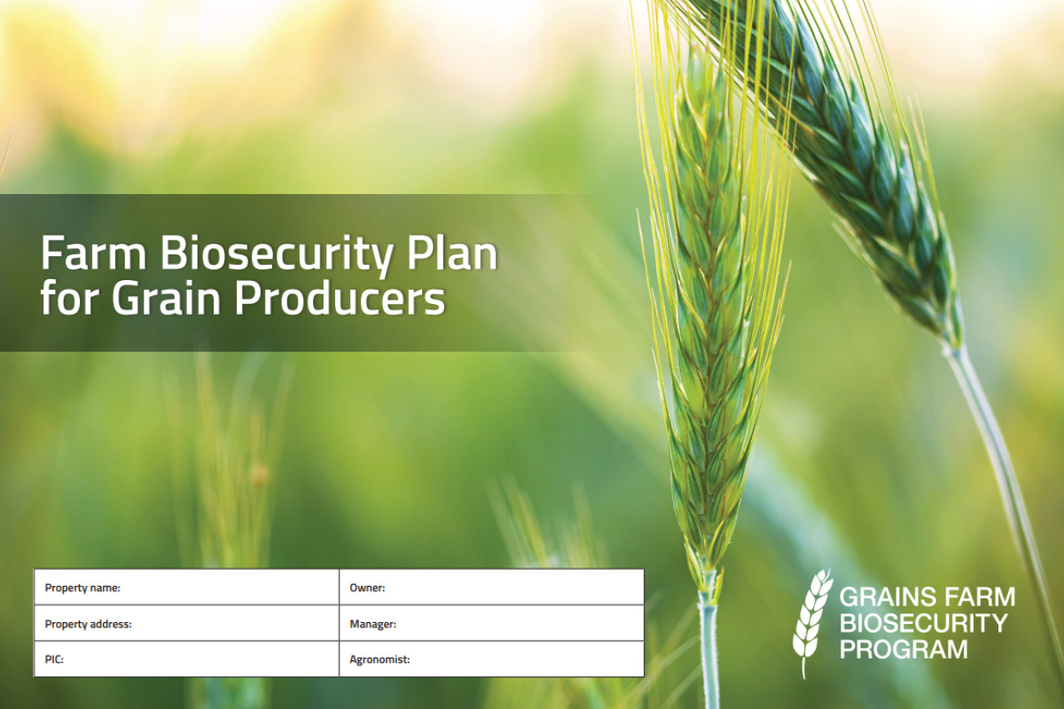 Biosecurity plan for mixed producers key amid FMD threat image