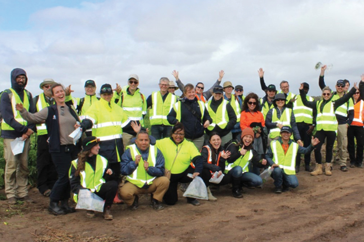 PestBlitz Workshop boosts diagnostic capacity for plant production industries image