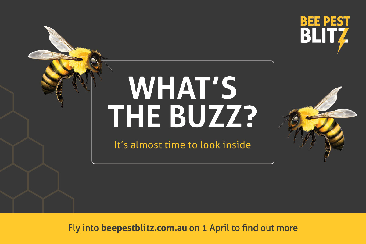 Get bee-sy and check your hives in April image