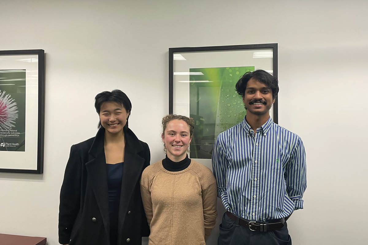 ANU interns complete work experience at PHA image