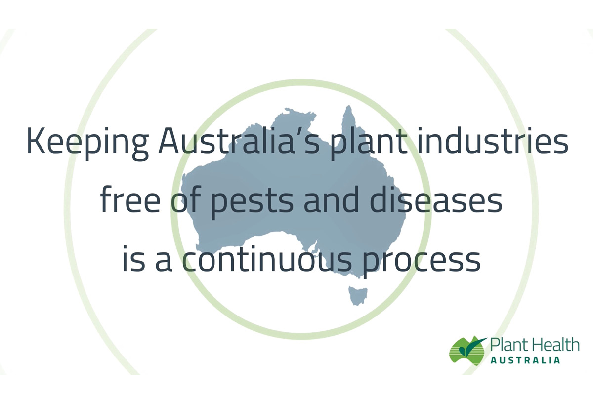 Understanding Australia’s plant biosecurity system image