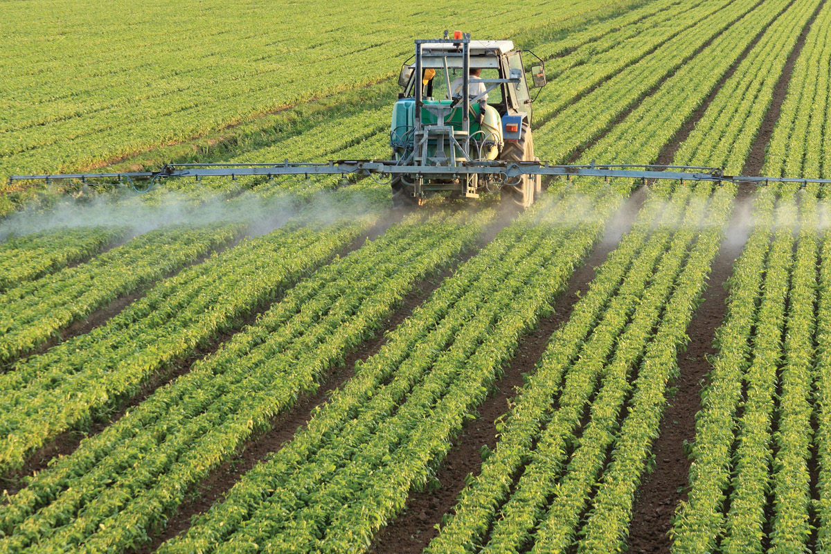 Biosecurity key as ag production set for record year image