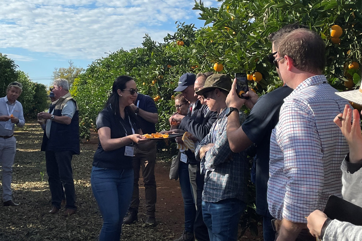 Citrus industry familiarisation tour image