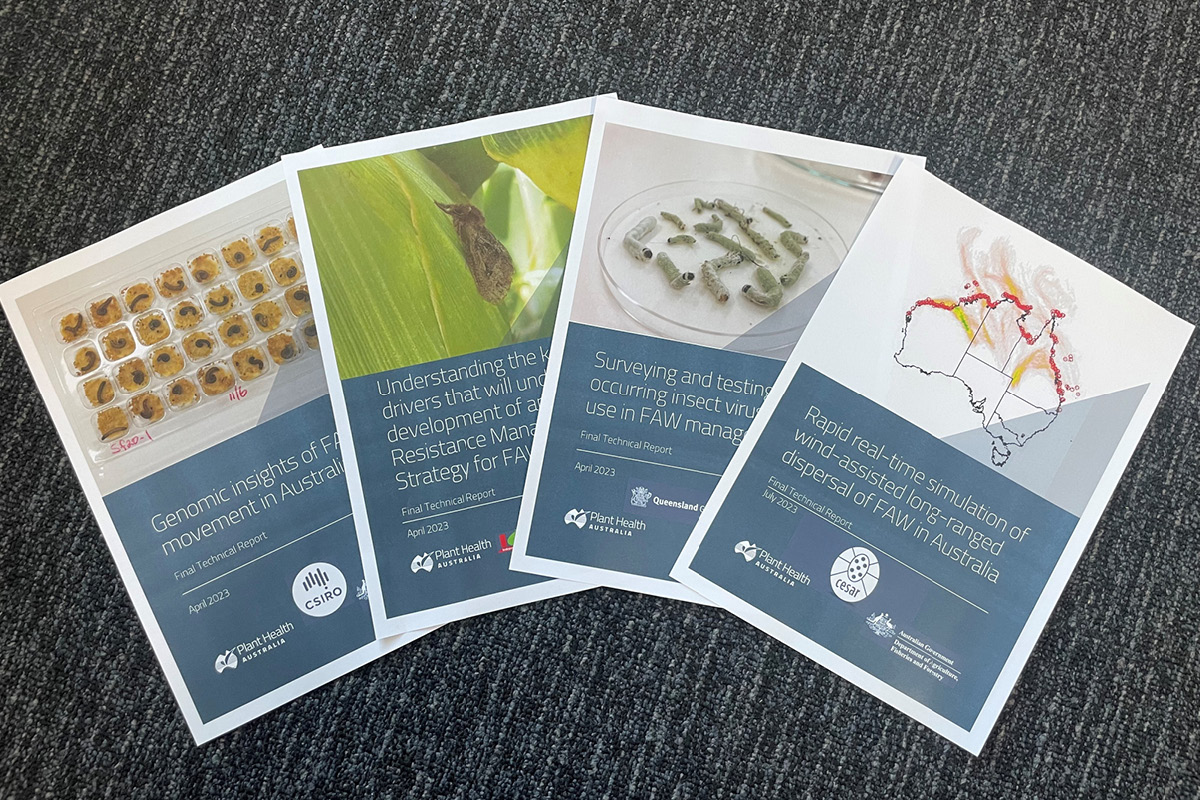 Boosting the Fall armyworm knowledge bank image