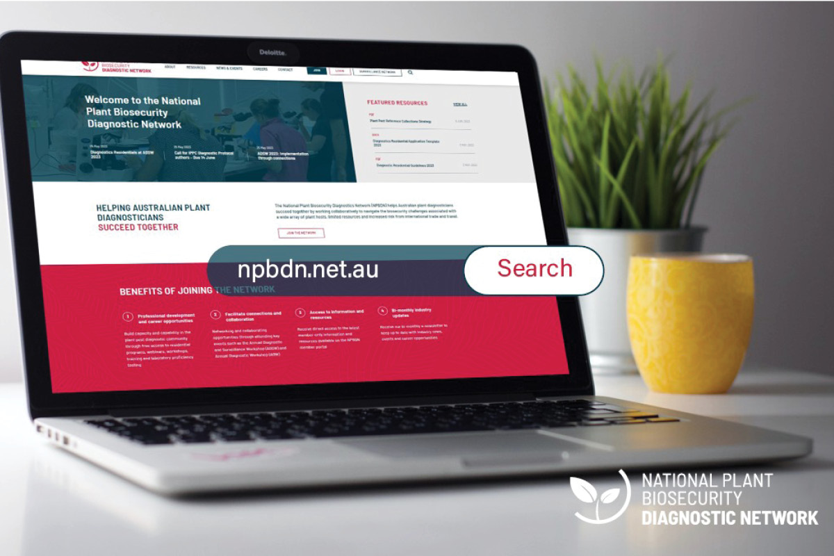 Introducing a new and improved NPBDN website image