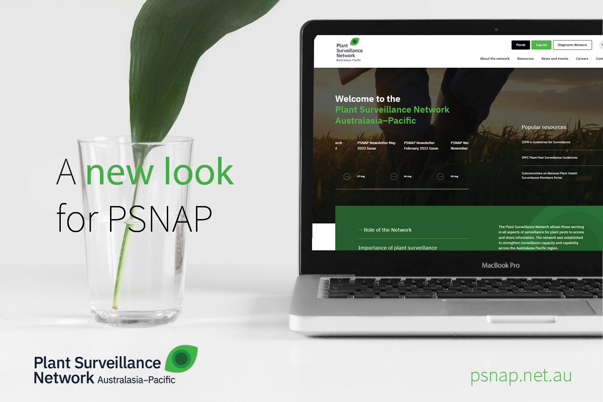 Announcing a fresh web experience for PSNAP image