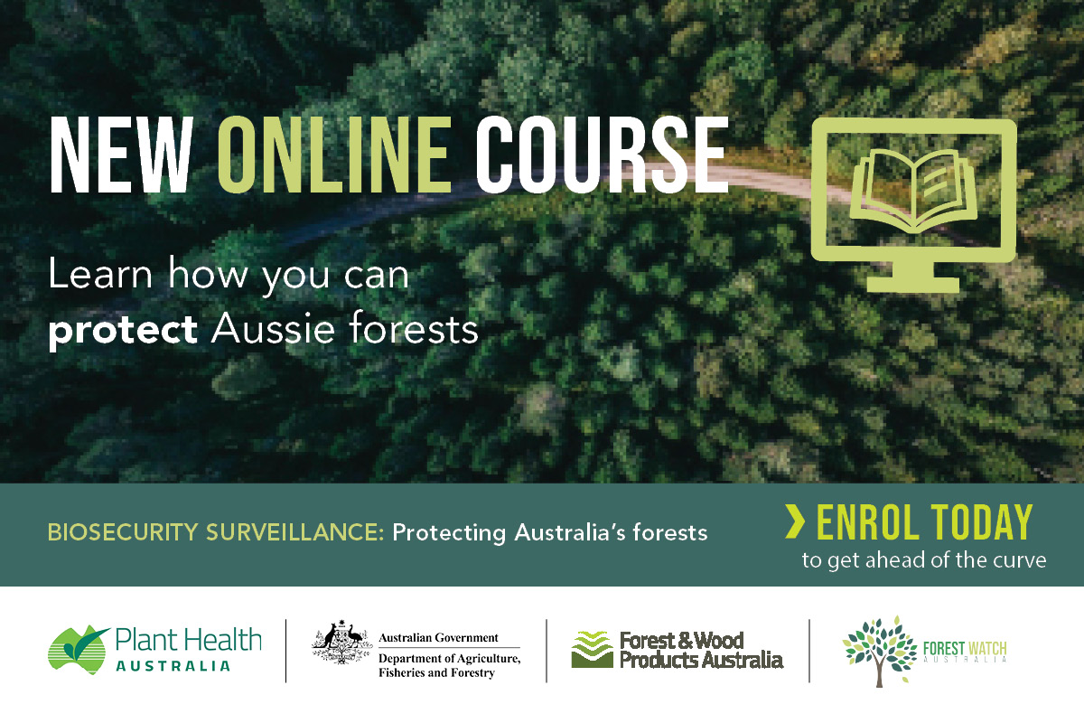 eLearning course for the forest industry image