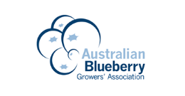 Australian Blueberry Growers’ Association image