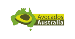 Avocados Australia image