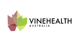Vinehealth Australia image
