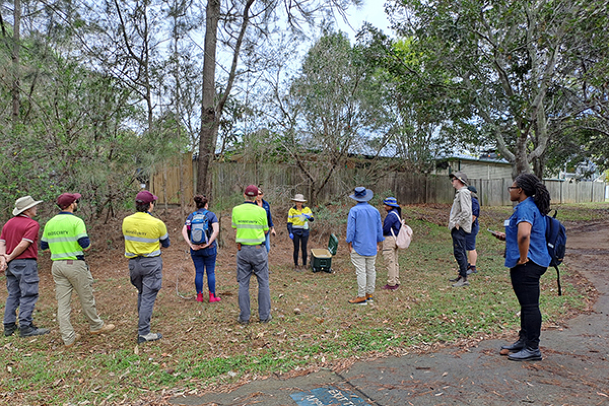 Branching out with forest health surveillance training image