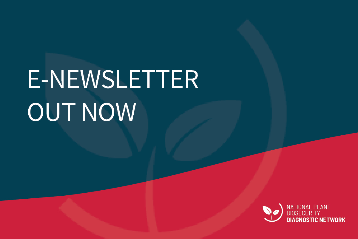 August issue of the NPBDN newsletter is out now image