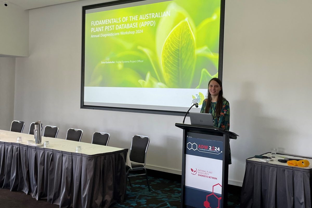 PHA’s Digital Systems team presents at diagnostics and surveillance workshops image