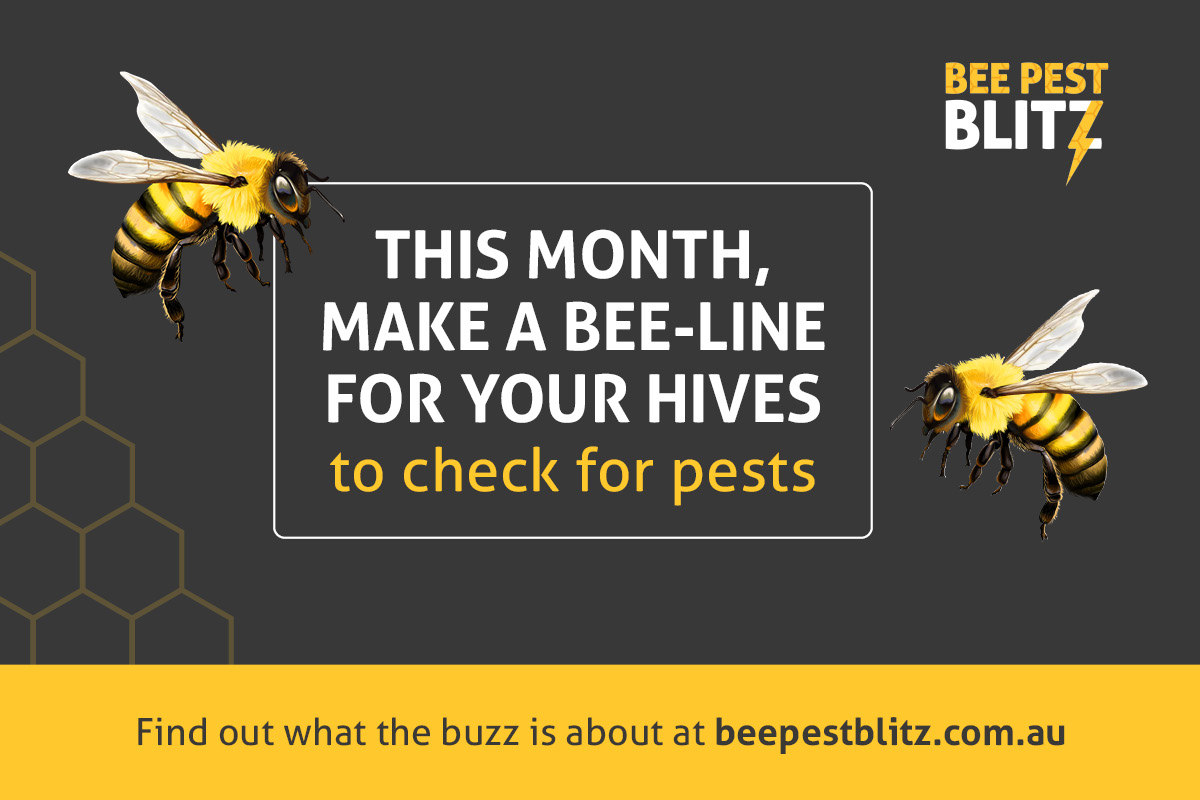 Make a bee-line for your hives image
