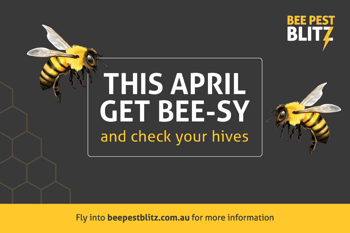 A buzzworthy cause: Bee Pest Blitz image