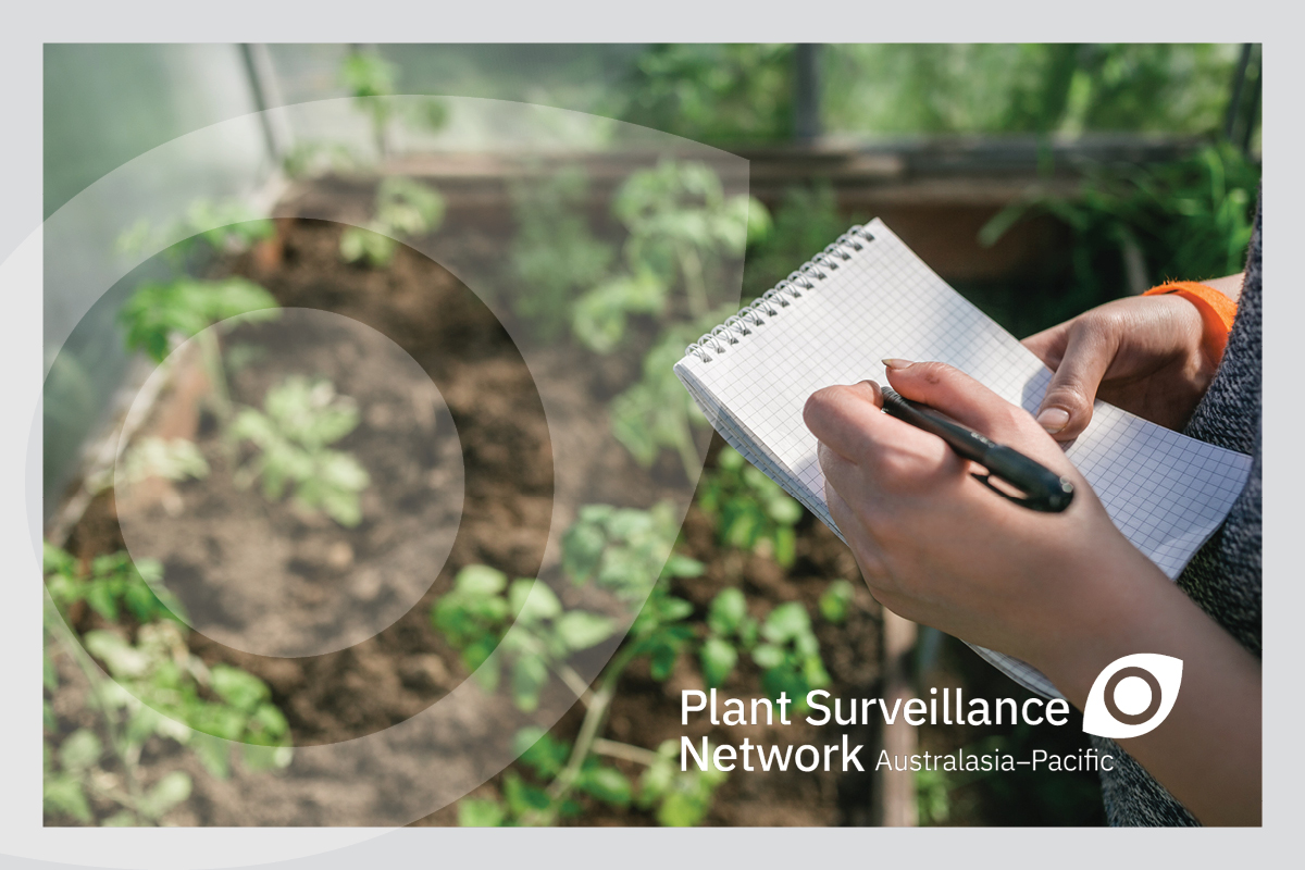 March/April issue of the Plant Surveillance Network Australasia-Pacific newsletter is out now image