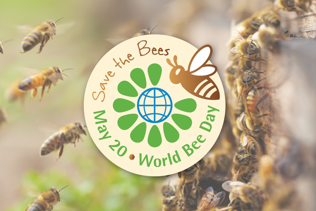 Celebrating the buzz in May: World Bee Day and Honey Month image