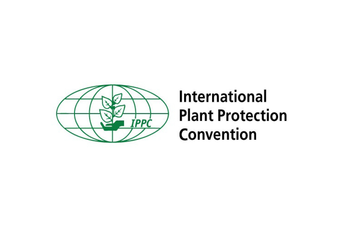 Industry feedback on International Standards for Phytosanitary Measures image