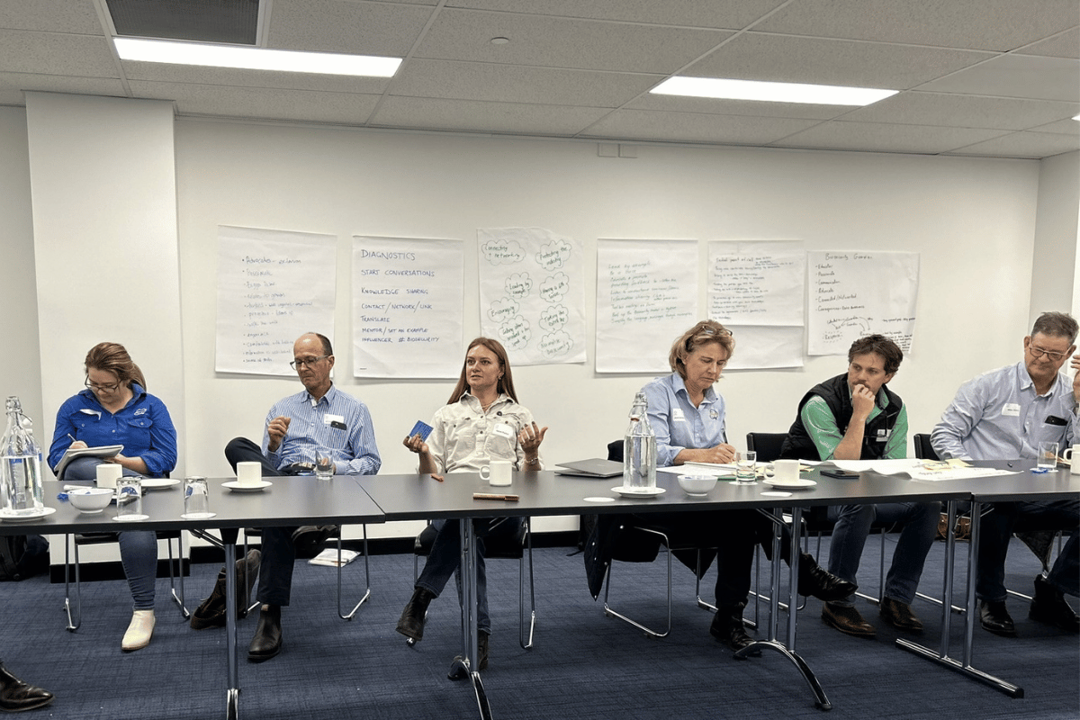Building a cotton industry biosecurity community  image