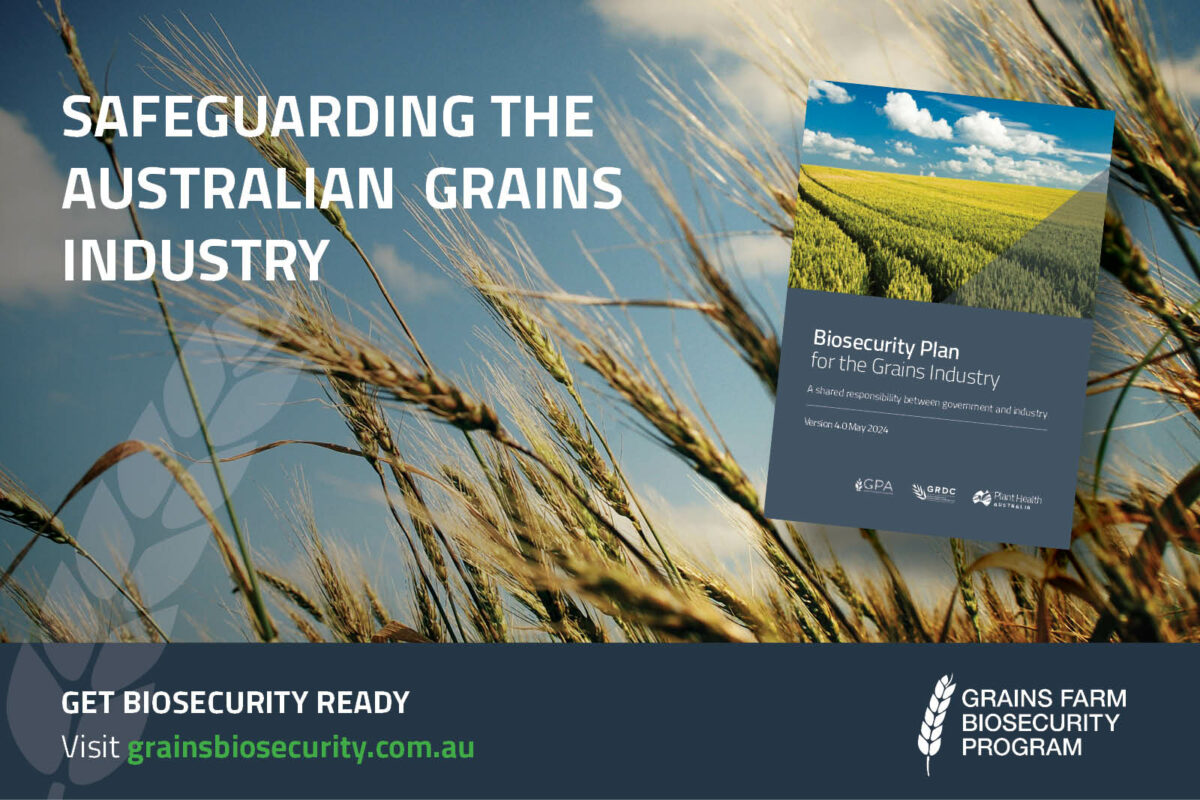 Grains Biosecurity Plan safeguards our future image