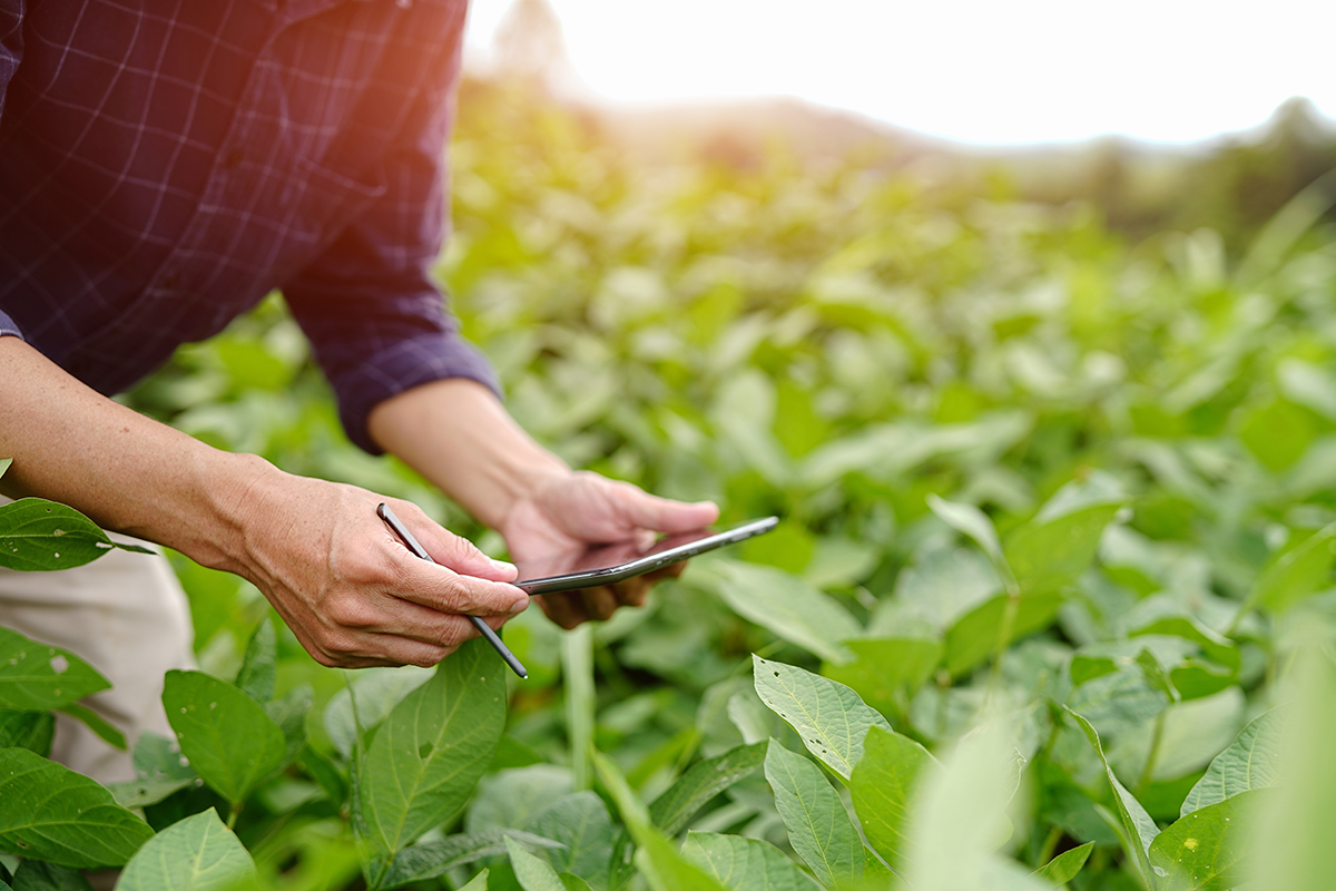 PHA launches mobile-friendly pest reporting course for growers on-the-go image