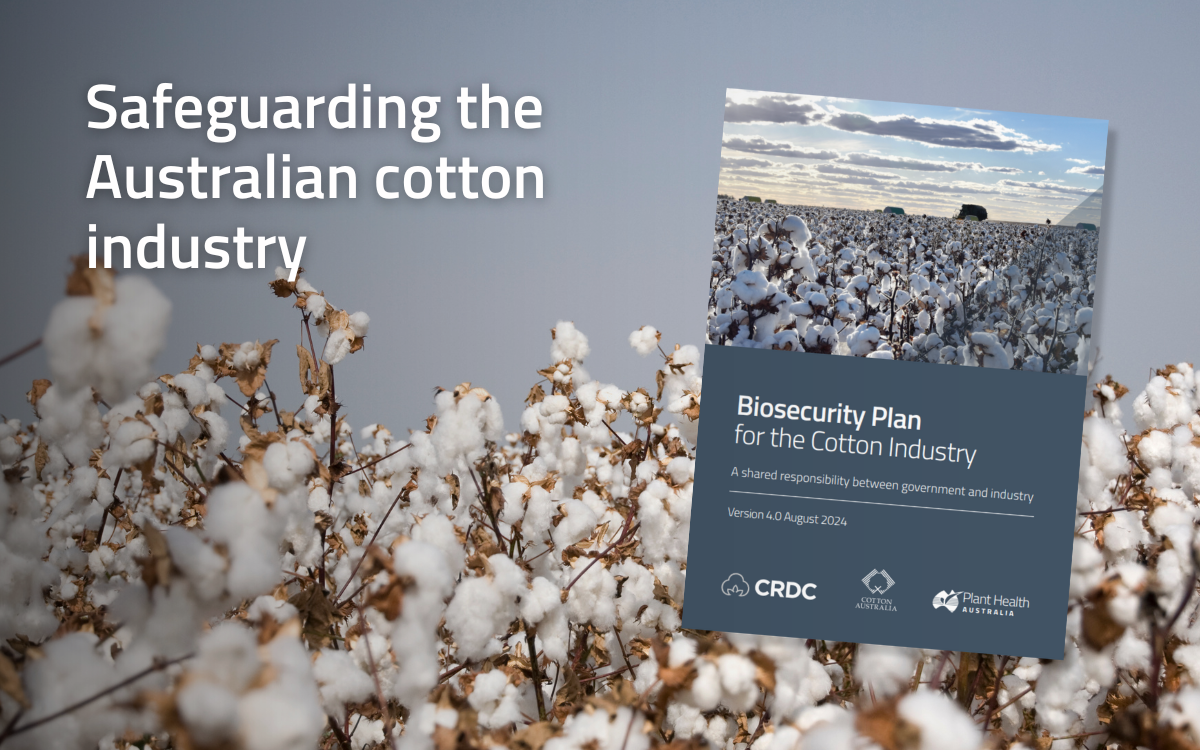 New Cotton Biosecurity Plan to strengthen industry image