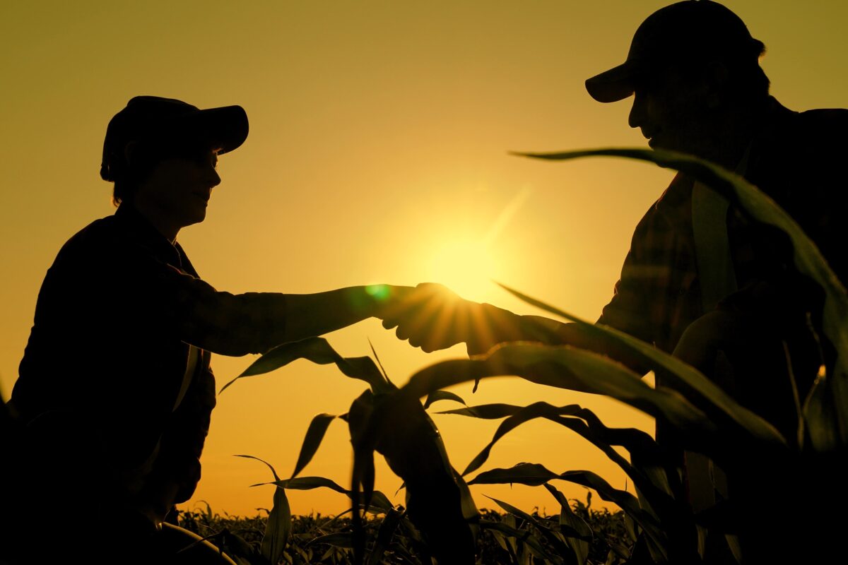 Grains Biosecurity Advisory Committee (GBAC) launched image