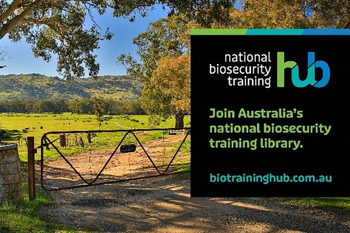 Australia’s national biosecurity training hub is growing image