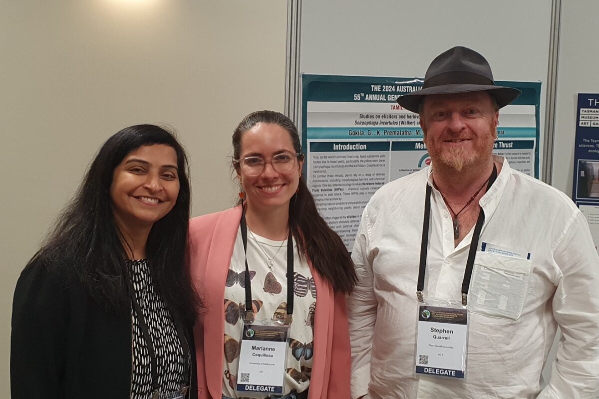 Entomology experts gather in Hobart for 55th Australian Entomological Society Conference image