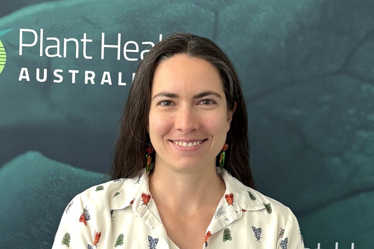 Marianne Coquilleau image