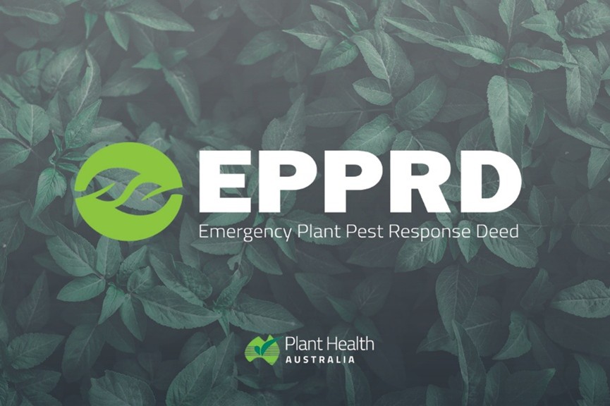 Emergency Plant Pest Response Deed (EPPRD) updated image