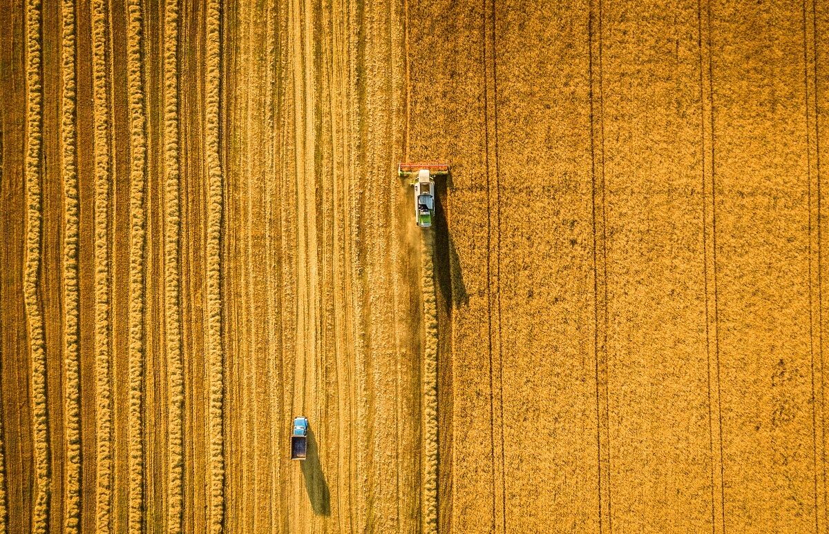 Protecting Australia’s crops: The Power of IPM image