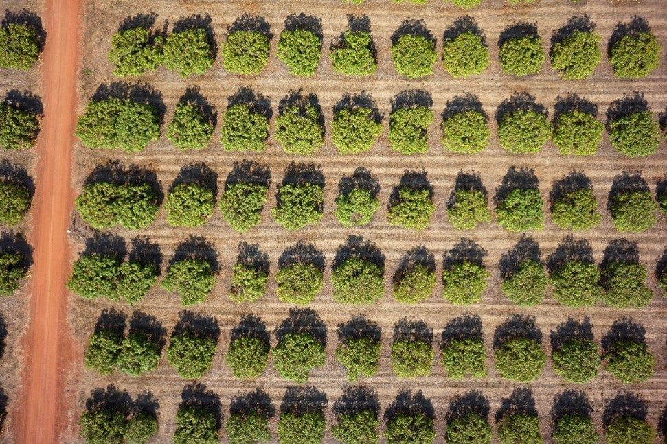 The role of growers in the national biosecurity system image