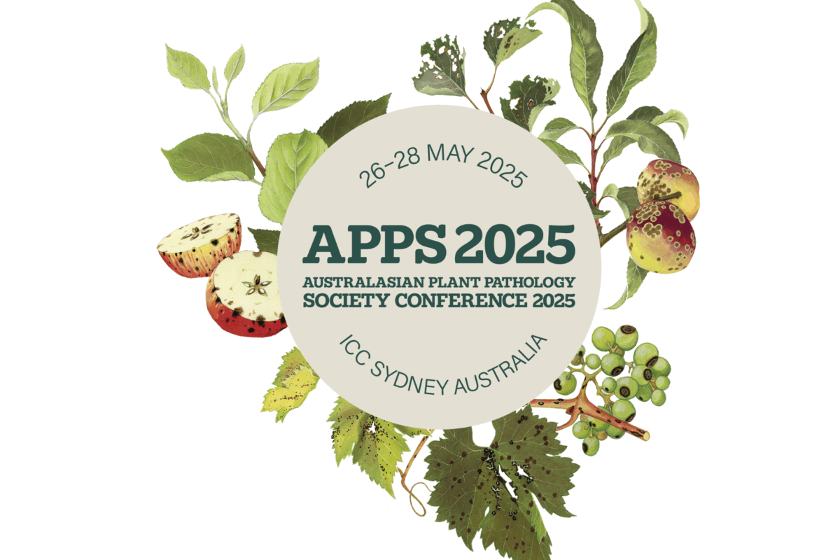 Collections and collaboration: highlights from the APPS conference image