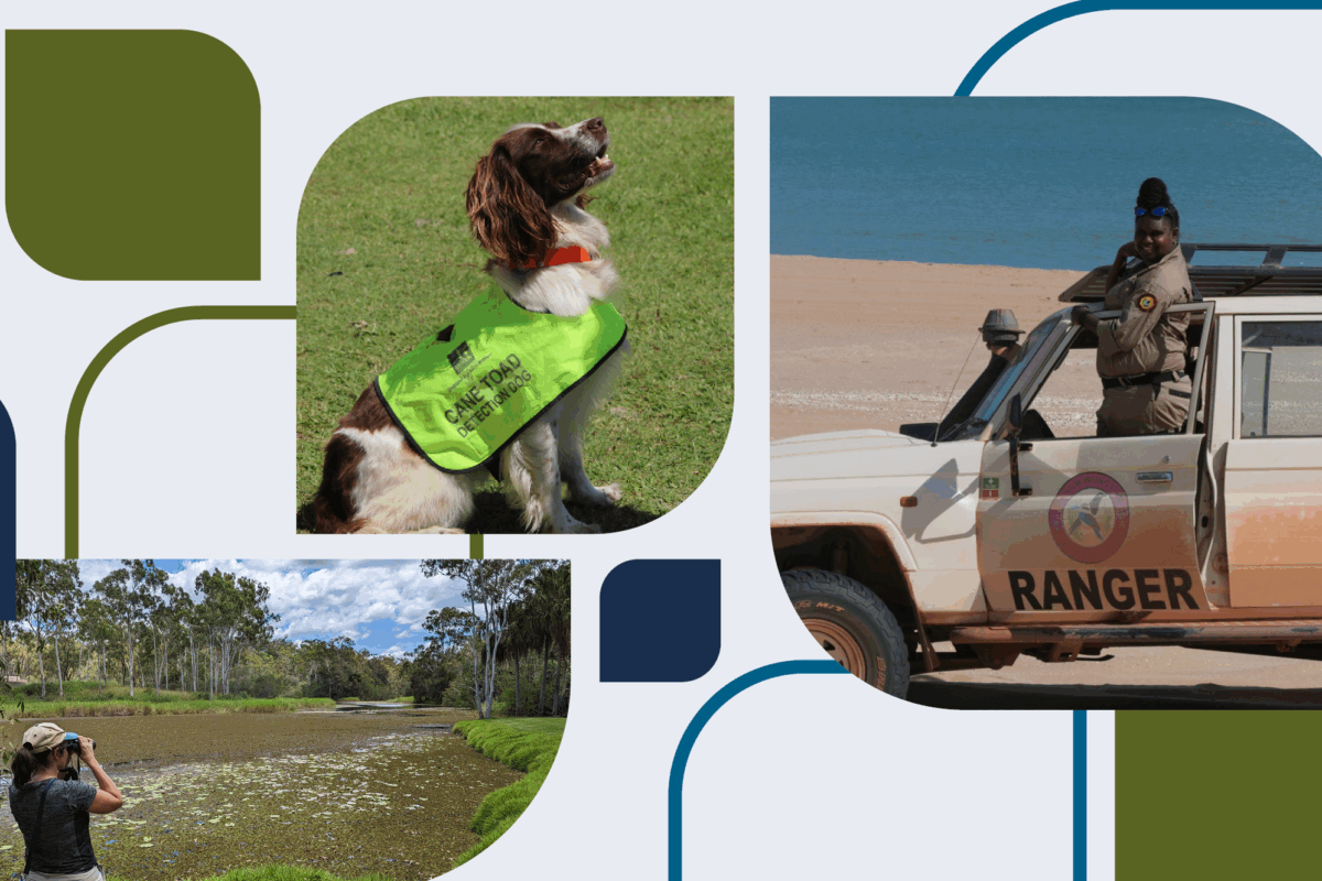 Nominations for the Australian Biosecurity Awards are now open image