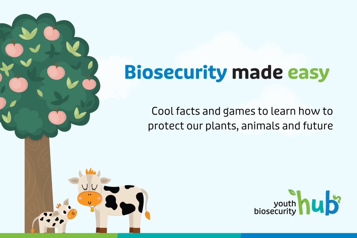 New Youth Biosecurity Training Hub empowers the next generation of biosecurity champions image