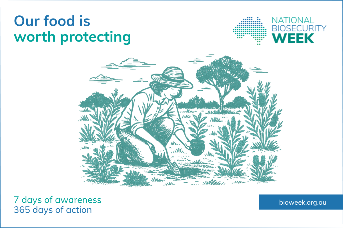 National Biosecurity Week: 25-31 August 2025 image