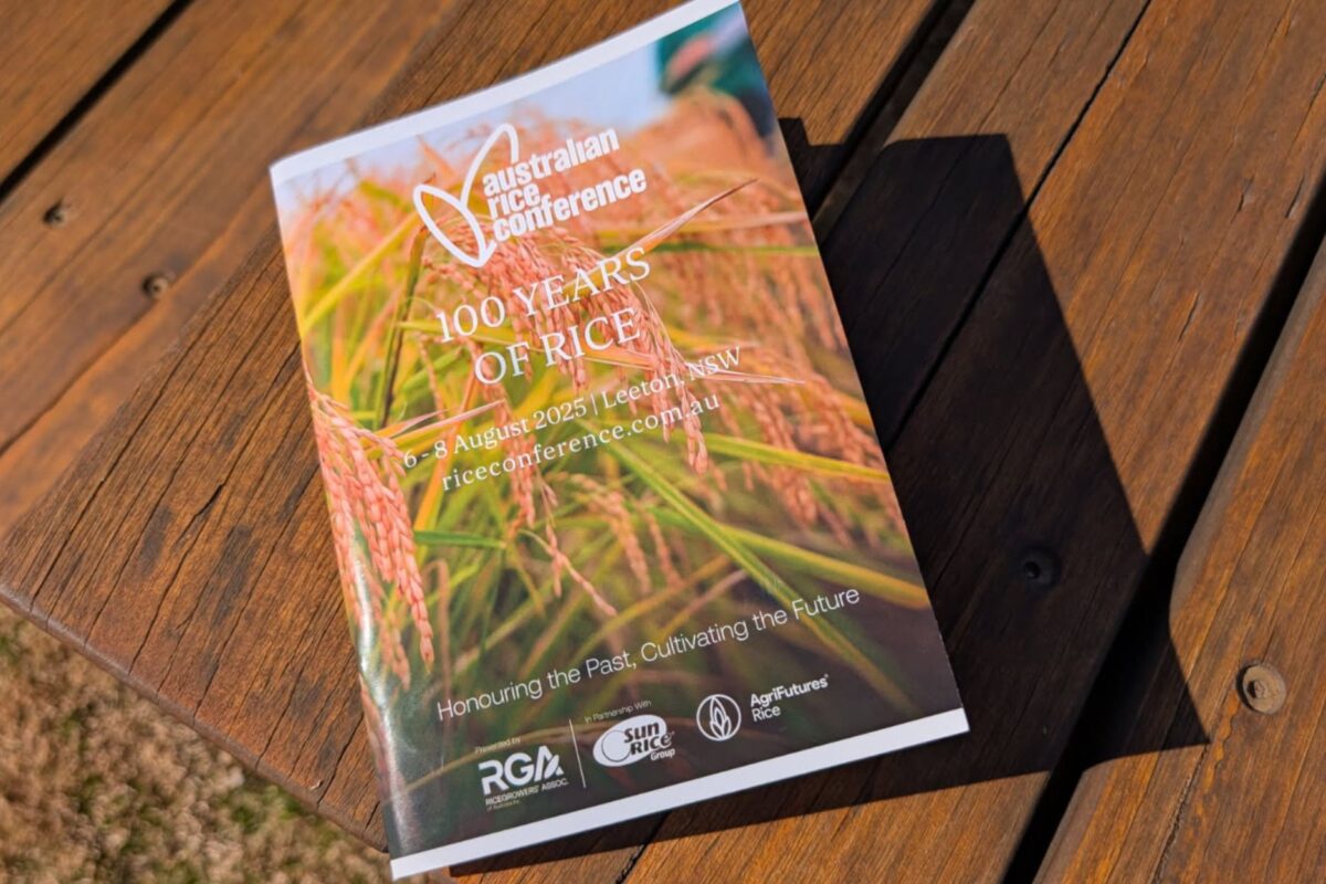 100 years of rice. 20 years of partnership image