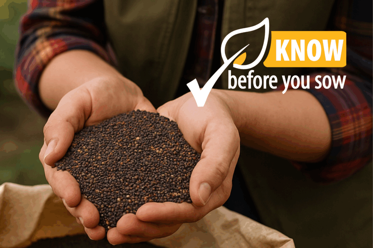 Know before you sow: quality seeds, strong agriculture image