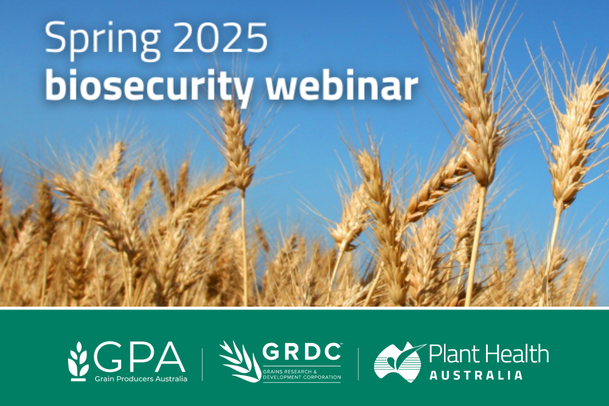 Building grains biosecurity awareness image