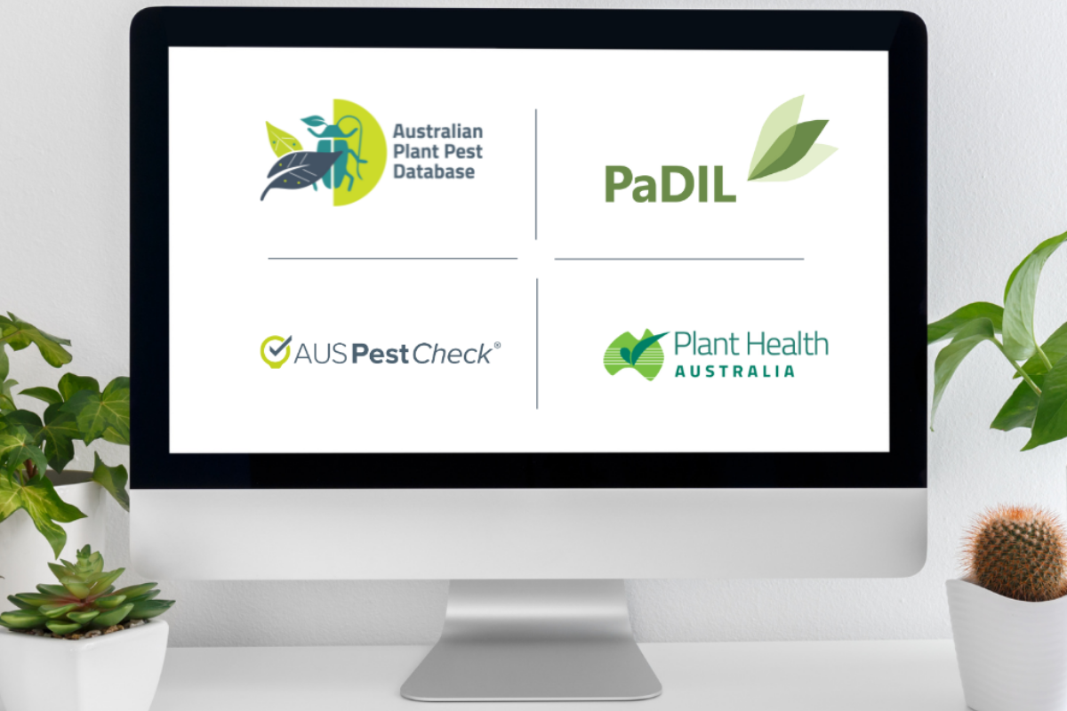 PHA’s Digital Systems: supporting Australia’s biosecurity network image