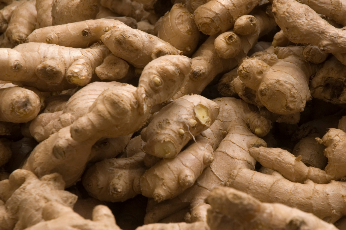 Supporting biosecurity in the ginger industry image