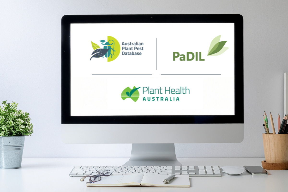 Enhancing plant biosecurity through digital systems image