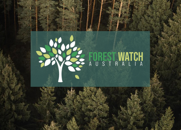 Forest Watch Australia: protecting forest biosecurity image