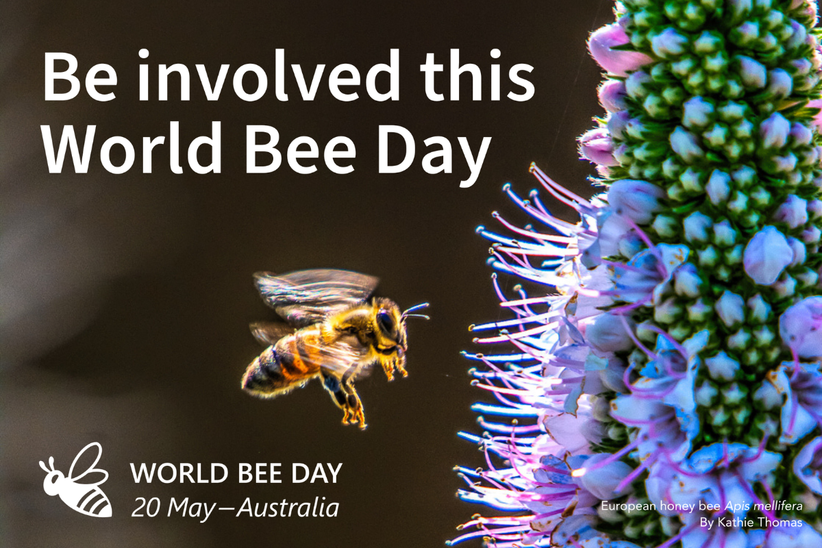 Protecting bee health through national surveillance image
