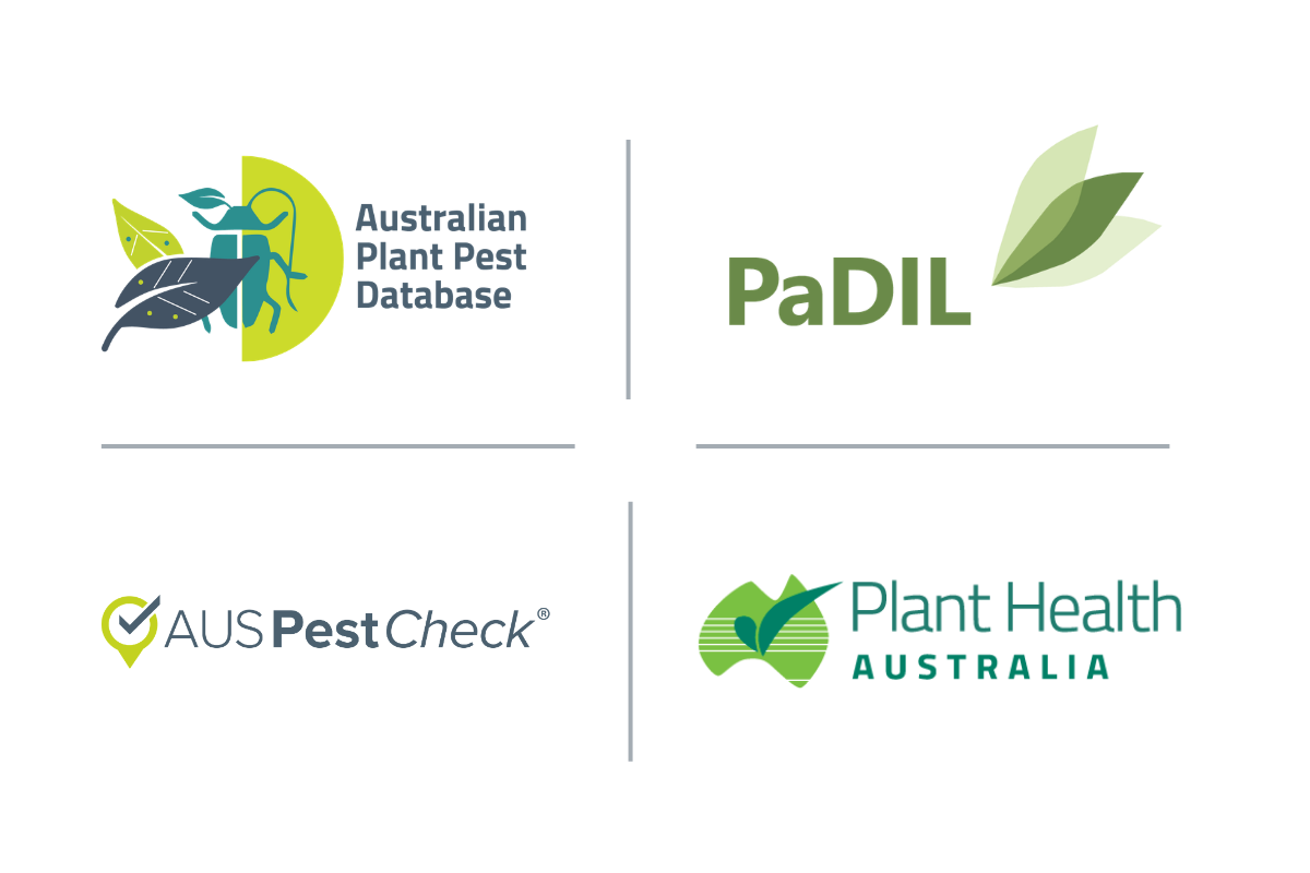 How APIs are improving PHA’s digital systems image